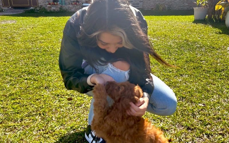 Cora Jade Gets A Puppy Amid Bron Breakker Breakup Rumors