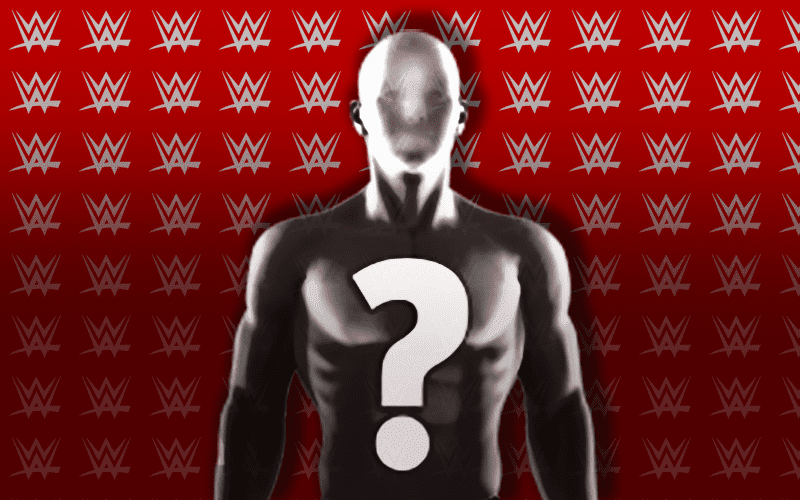 Former WWE Star Made First In-Ring Appearance After Release From The Company