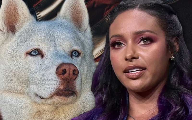Brandi Rhodes Acknowledges Pharoah As The Head Of The Table