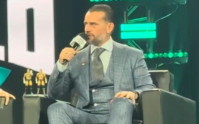 CM Punk Admits to Sporting Cody Rhodes' Attire in His WWE Return Match