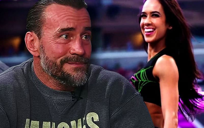 CM Punk Provides Update on AJ Lee’s Potential WWE Return