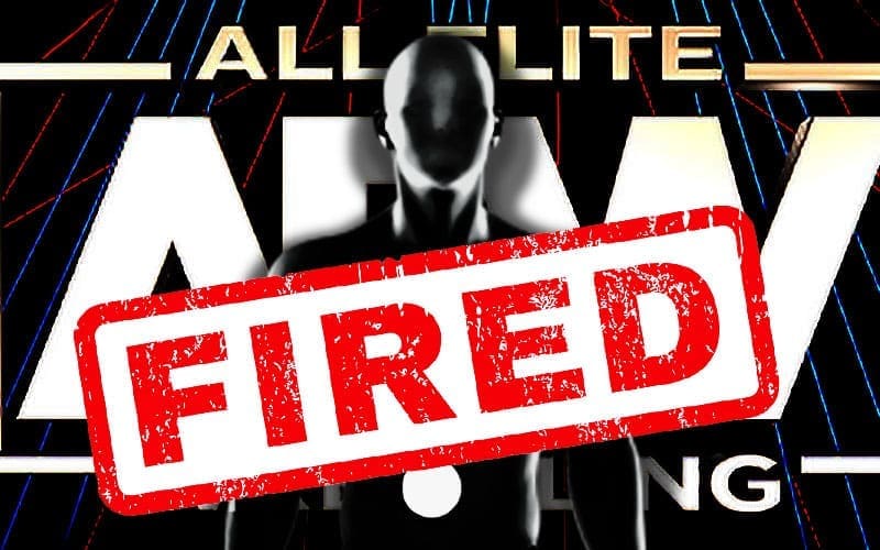 New Addition Identified in AEW Release Wave