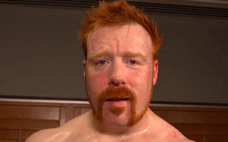 Sheamus Issues a 4-Word Warning to WWE Locker Room After Return on 4/15 RAW