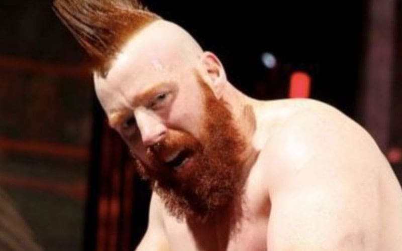 Sheamus Urged to Consider Retirement While on WWE Hiatus