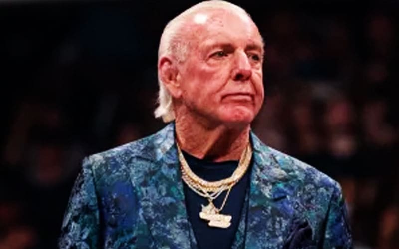 Fans Urge Ric Flair to Focus on Health and Wellness After Restaurant Incident