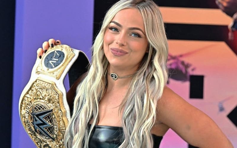 Liv Morgan Considered Perfectly Cast In Current WWE Angle By Former Superstar
