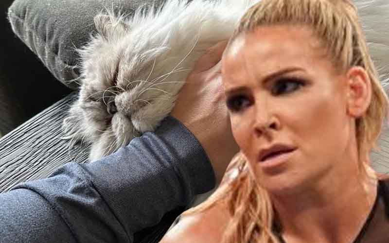 Natalya Announces Her Cat Struggling With Cancer