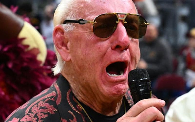 Ric Flair Calls Out Merchandise Store For Unauthorized Use of Likeness
