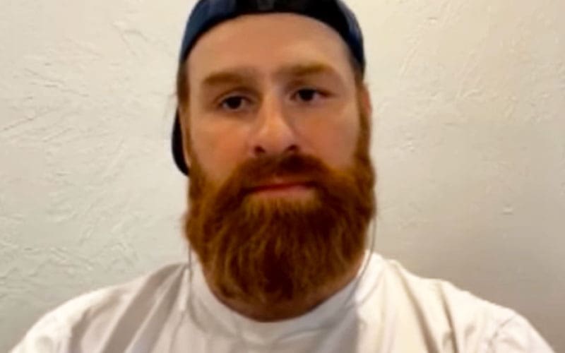 Sami Zayn Has Conflicted Feelings About Fewer Matches on WWE Premium Live Events