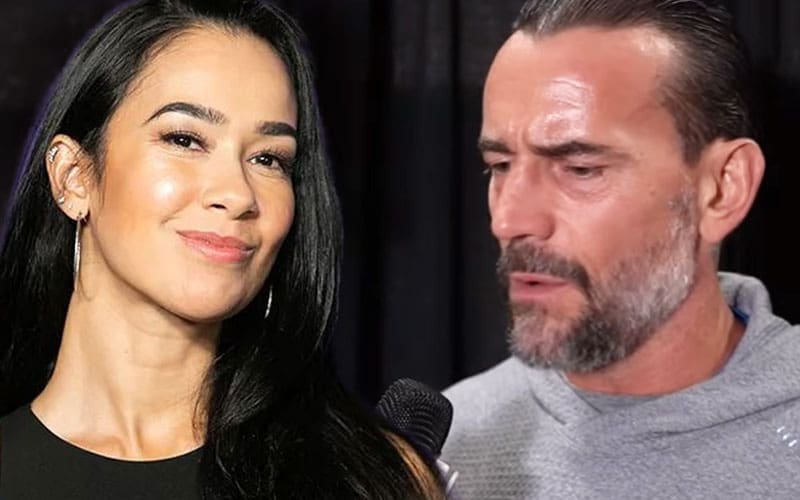 CM Punk Addresses AJ Lee’s Potential In-Ring Return Amidst Prolonged Absence