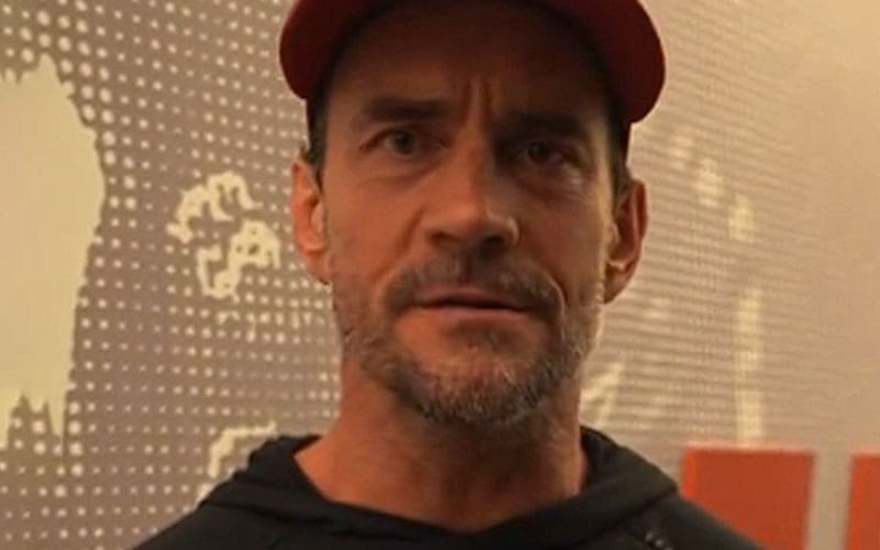 CM Punk Believes WWE Crossover with UFC Brings Wrestling Back To Its Roots