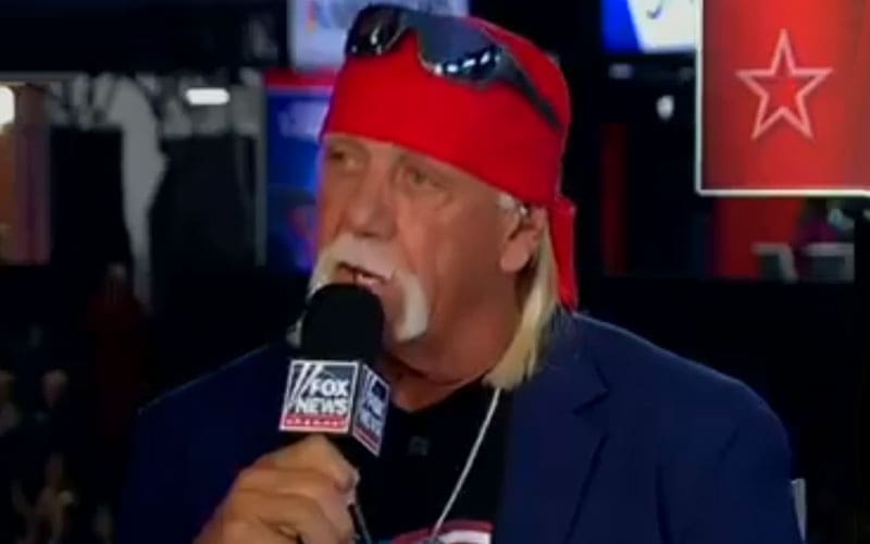 Hulk Hogan Calls Donald Trump His ‘Hero’ at Republican National Convention