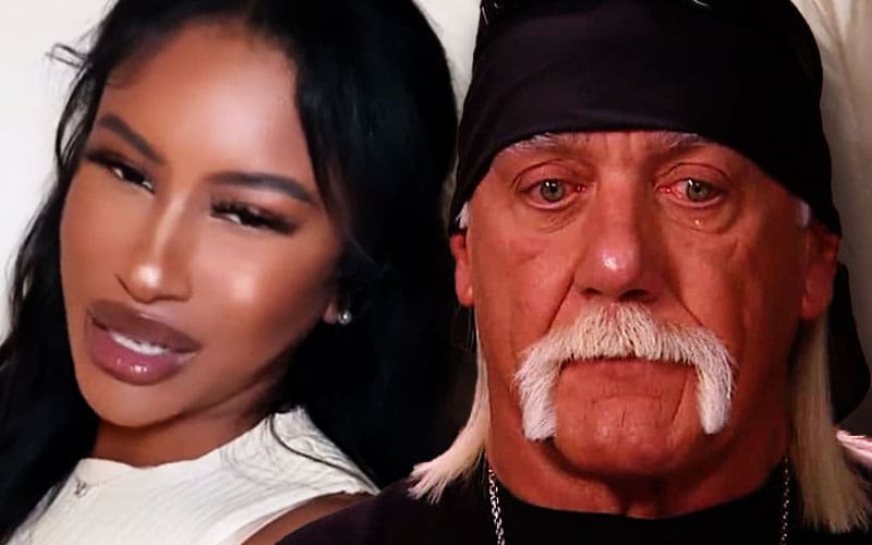 Hulk Hogan’s Representative Denies Claim That Ambassador’s Termination Was Race-Related