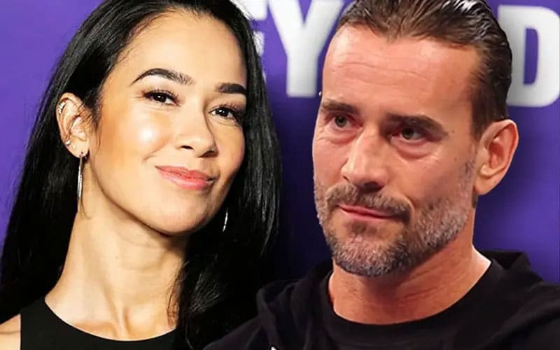 CM Punk Hints at Potential AJ Lee WWE Comeback
