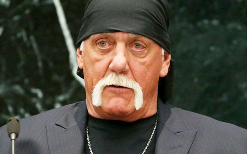 Director for Hulk Hogan’s ‘Killing Gawker’ Biopic Revealed