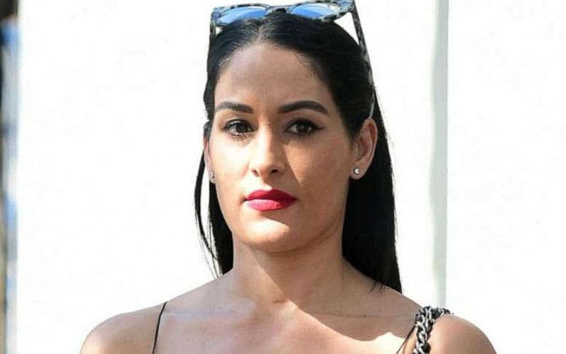 Nikki Bella Spotted Out With Son Matteo After Filing for Divorce From Artem Chigvintsev