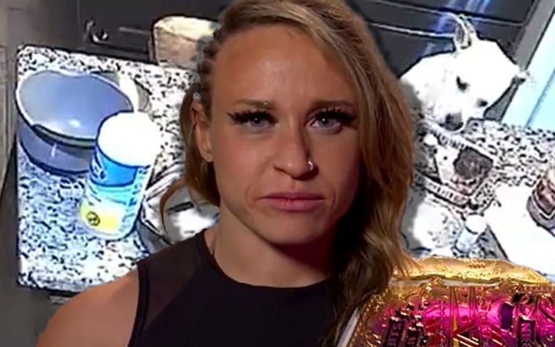 Jordynne Grace’s Dog Busted on Camera Eating Entire Tray of Brownies in Home Security Footage