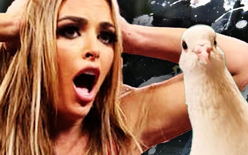 Mandy Rose’s Open-Top Drive Ruined by Bird’s Unfortunate Drop