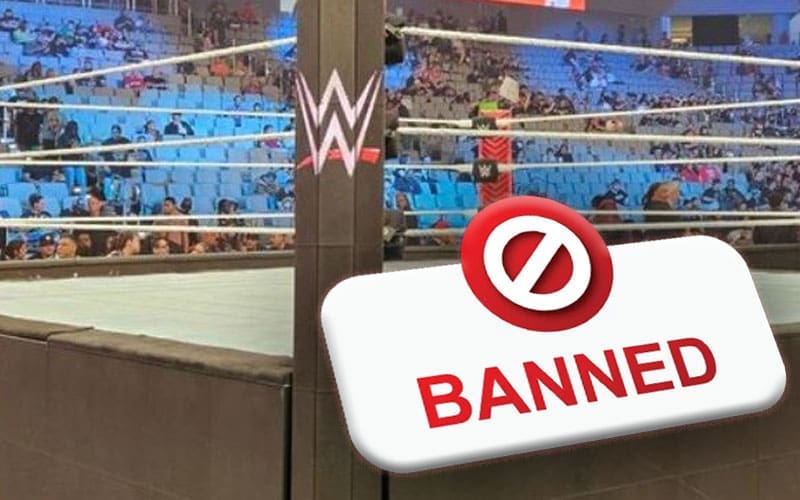 New Penalty Proposed for WWE Superstars Who Break Banned Move List