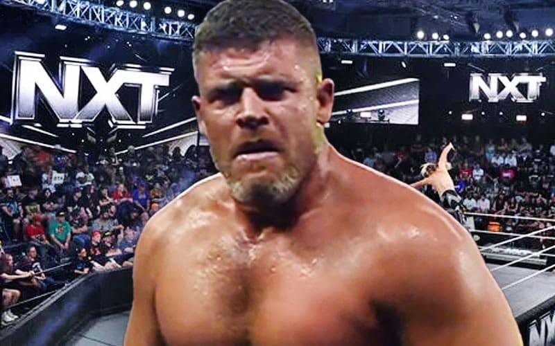 Steve Maclin Addresses Possible NXT Appearance Amid Strengthening TNA-NXT Ties
