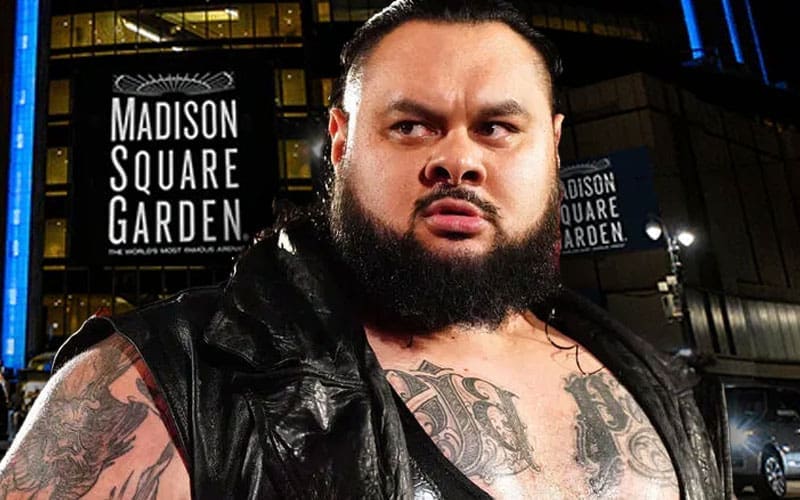 Bronson Reed’s Replacement for MSG Holiday Event Revealed