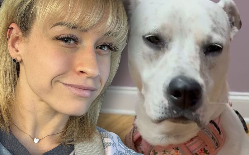 Jordynne Grace’s Dog Goes Viral After Eating Her Stash