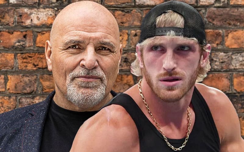 Logan Paul Challenged to Boxing Match By Tyson Fury’s 59-Year-Old Father John Fury