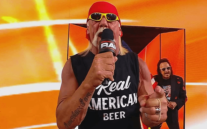 Hulk Hogan Called Out as “A Racist” by Missy Beefcake Amid Resurfaced Controversy