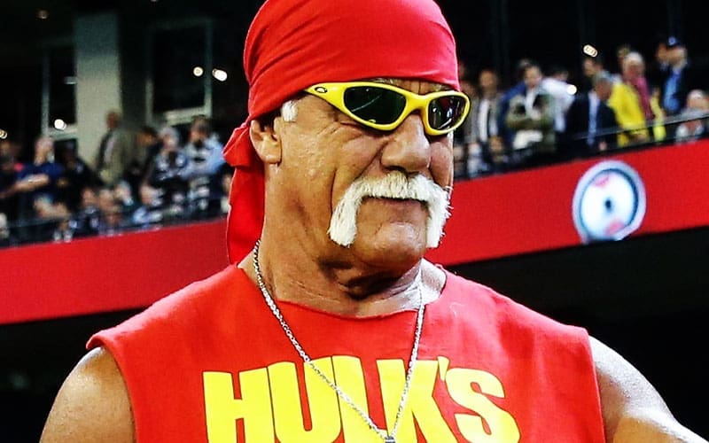 Hulk Hogan Set Clear Boundaries for WWE Storylines for Eventual Return