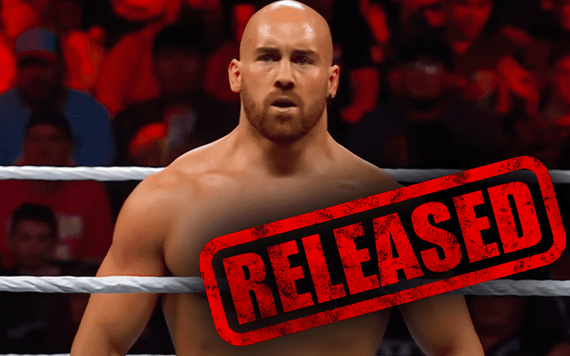 Internal Perception of Giovanni Vinci's WWE Release