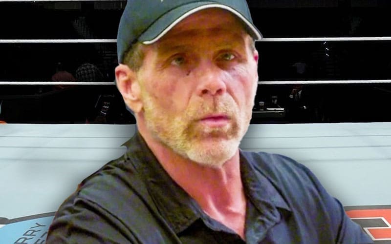 Shawn Michaels Told Ex-WWE Star He Has “One Or Two Matches Left” In Him