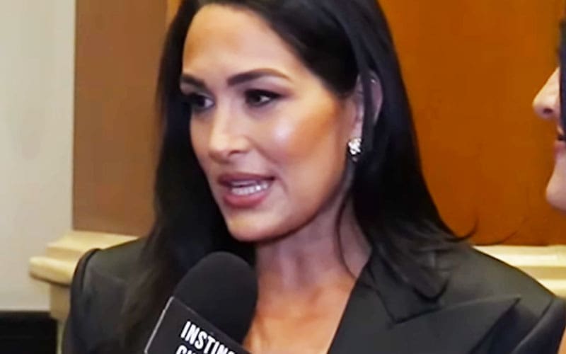 Brie Bella Reveals Current WWE Status