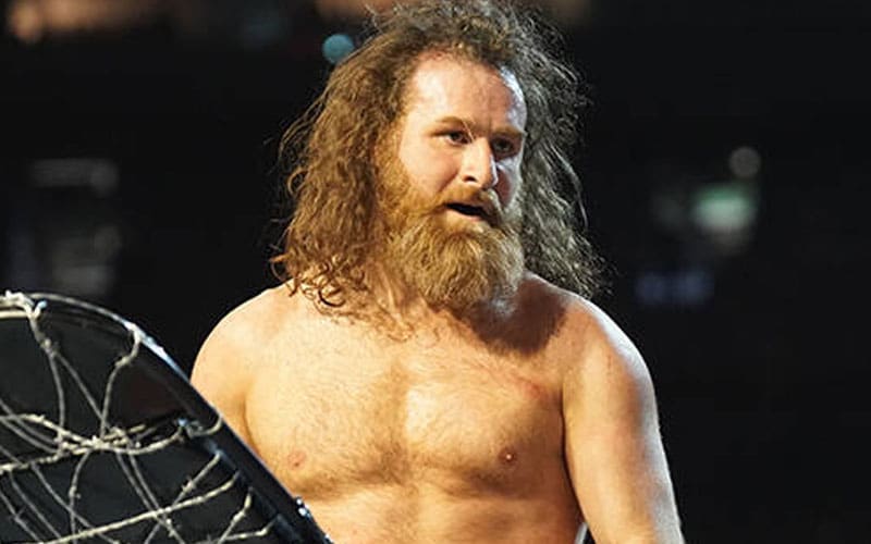 Sami Zayn Out Of Action Indefinitely After WWE Elimination Chamber