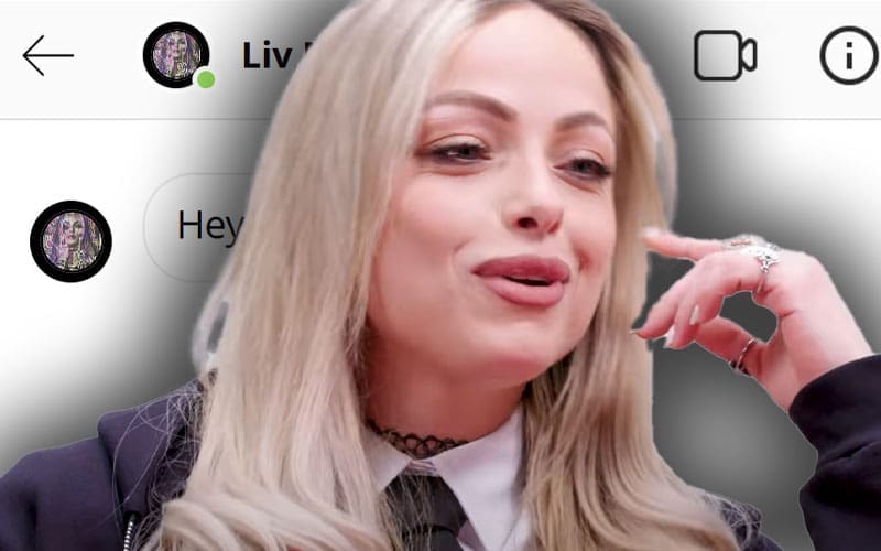 Liv Morgan Admits Celebrities Have Slid Into Her DMs