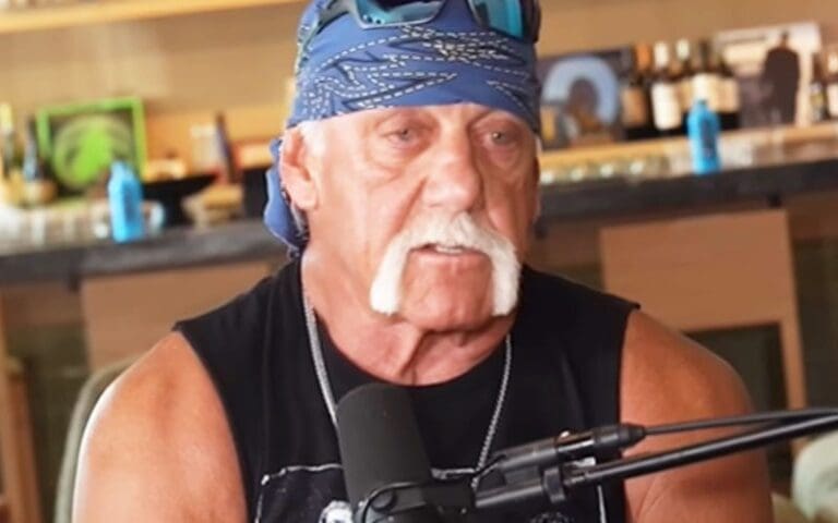 Hulk Hogan Called Out for Having 'Zero Credibility' in Amateur Wrestling