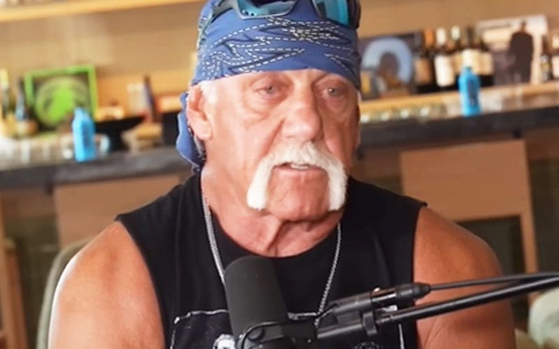 Hulk Hogan Called Out for Having ‘Zero Credibility’ in Amateur Wrestling