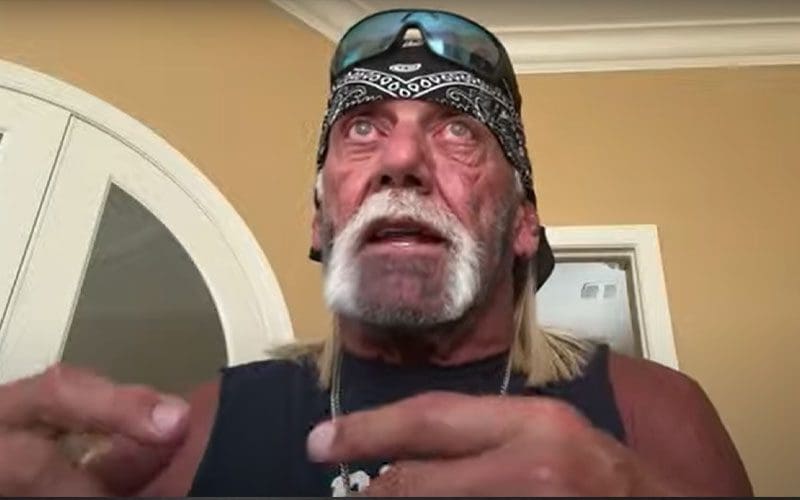 Hulk Hogan Downplays Getting Booed in Public as Part of His Character