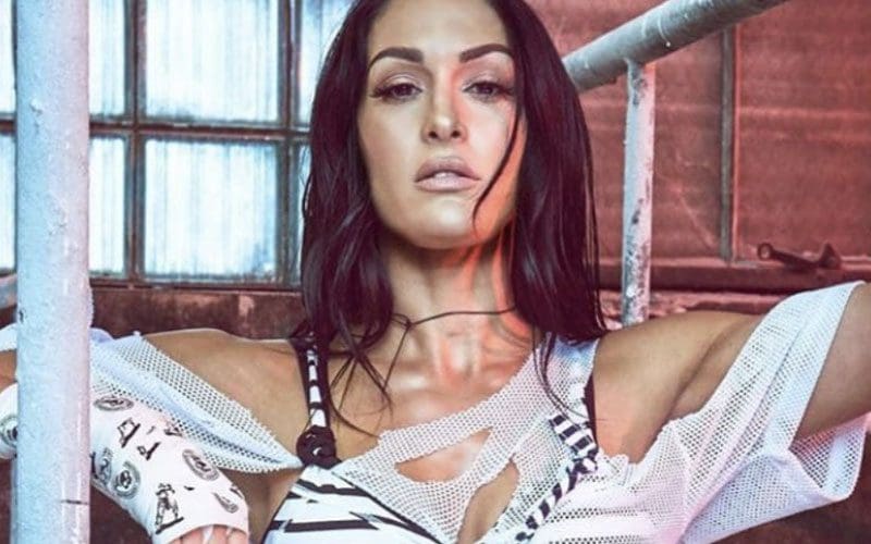 Nikki Bella Reveals She’s Preparing for WWE Comeback With New Training Regimen