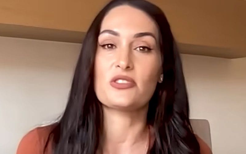 Nikki Bella Sets the Record Straight on Child Support and Divorce Settlement