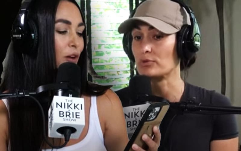 Nikki & Brie Bella Fire Back at Claims They 'Overshare' on Social Media and Reality TV