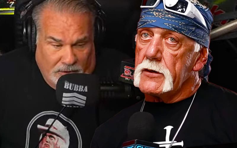 Bubba the Love Sponge Fights Back in Hulk Hogan Doc Lawsuit