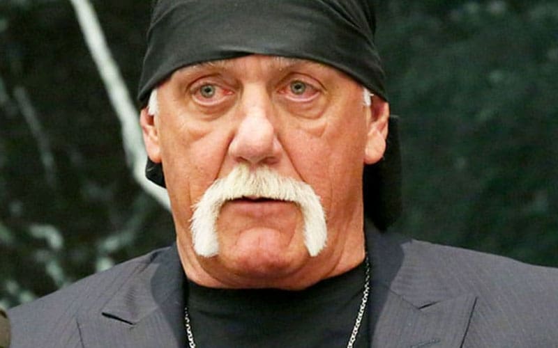 Hulk Hogan’s “Killing Gawker” Documentary Canceled