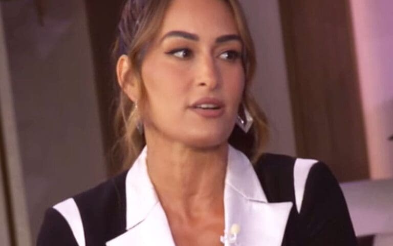Nikki Bella Believes People Hate Her for the Men She Dates