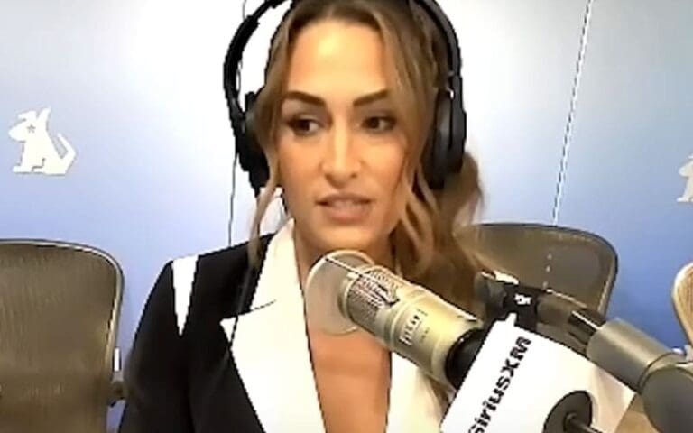 Nikki Bella Breaks Down the Chaos of Balancing WWE, Motherhood and Media Life