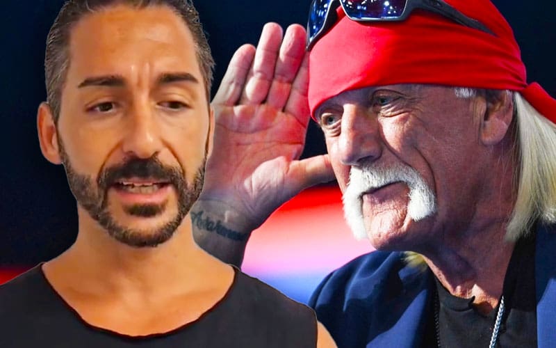 Registered Sex Offender Chasyn Rance Downplays Hulk Hogan’s Racist Remarks After His Death