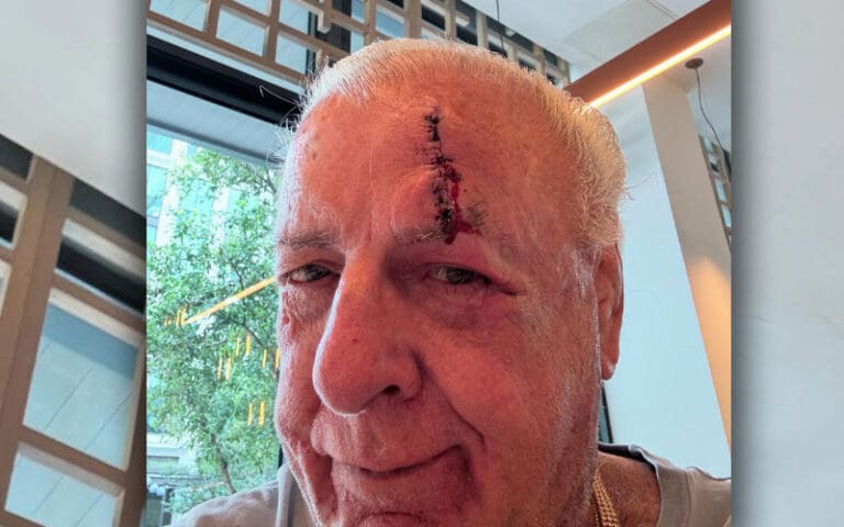 Ric Flair Posts Graphic Injury Update After Missing Convention—But There’s Good News Behind It