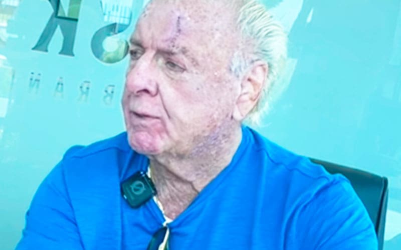 Ric Flair Admits “Living the Gimmick” Made Him Forget to Pay Taxes