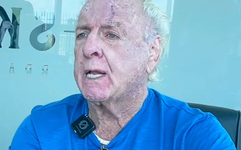Ric Flair Slams Scripted Promos In WWE Today