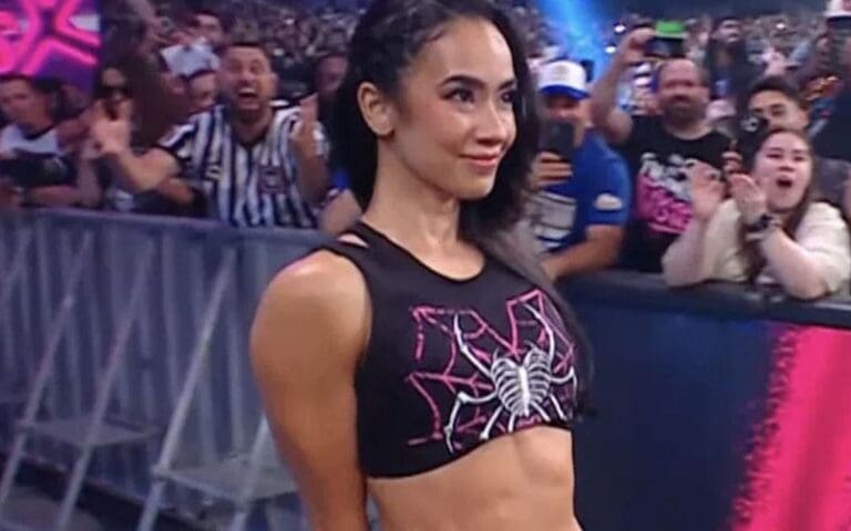 AJ Lee Drops Message To Fans After WWE Return