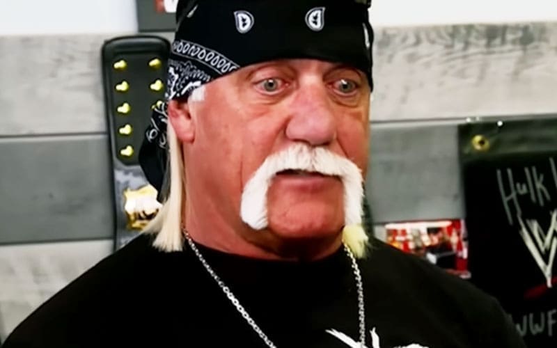Nobody Knew Hulk Hogan Was Dealing With Leukemia Before He Died